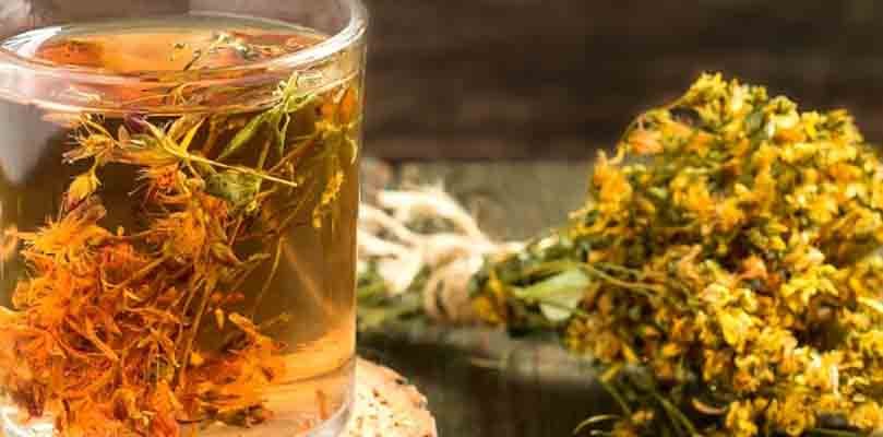 INFUSIONES DE INVIERNO UNA CALIDA Y RECONFORTANTE EXPERIENCIA